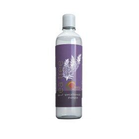 Maple Holistics Teebaumöl Shampoo