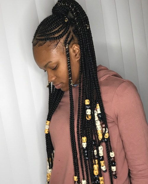 Фулани Braids with a High Ponytail