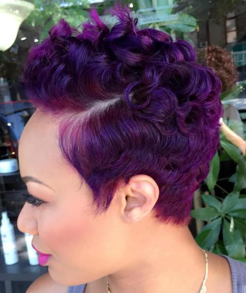 африкански American Purple Curly Pixie