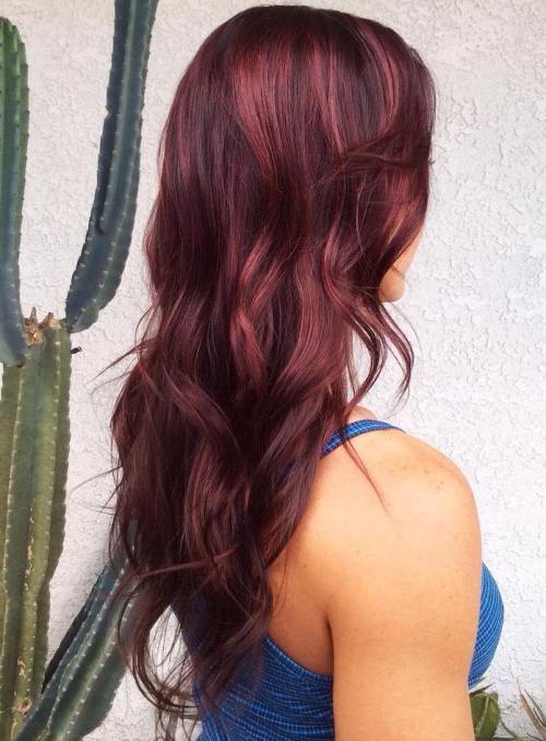Světlo Burgundy Hair Color
