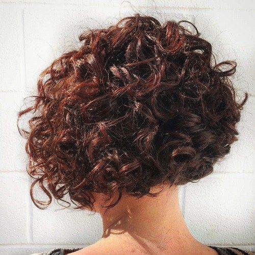 Krátký Curly Mahogany Bob Hairstyle