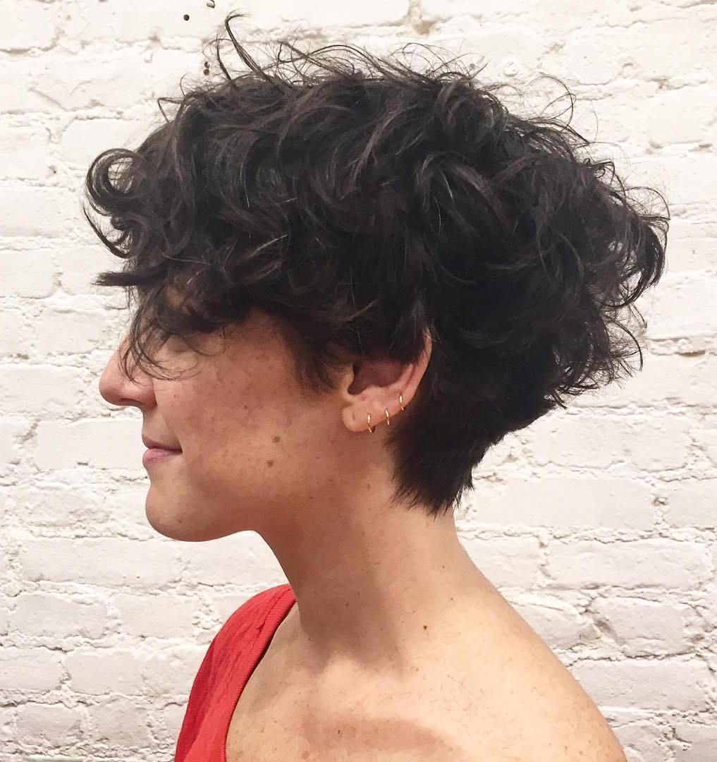 Krátký Tapered Haircut For Curly Hair