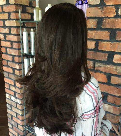 дълго Layered Brunette Hairstyle