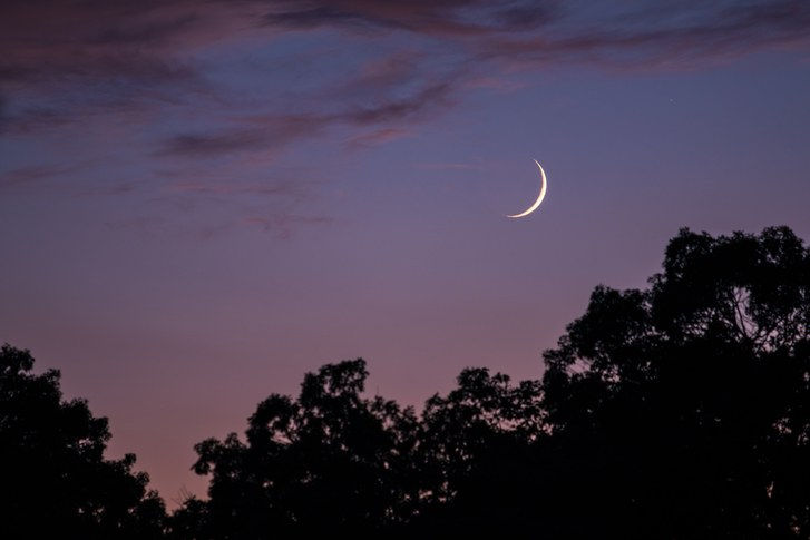 А crescent moon in a purple sky over some trees at night