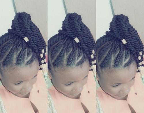 plachty and twists hairstyles for black girls