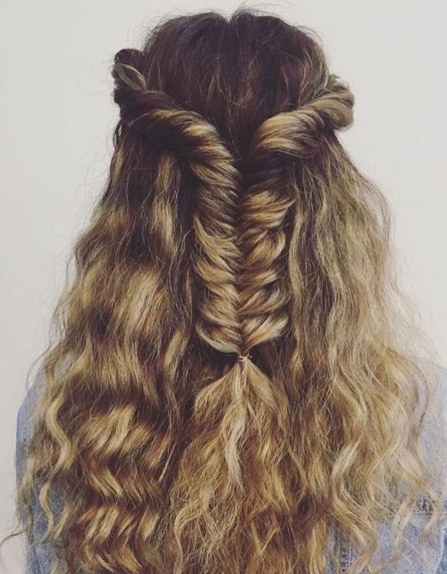 Halftail Up with Fishtail Braid
