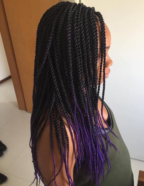 Lano Braids With Purple Ends