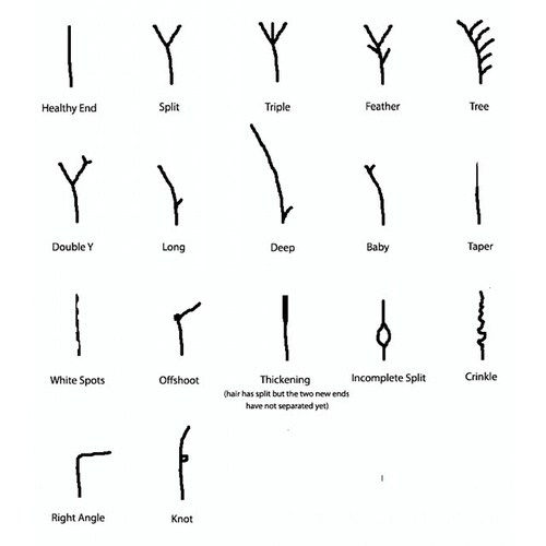 различен types of split ends